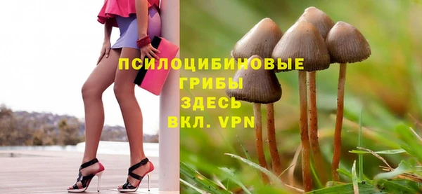 МДПВ Алексин
